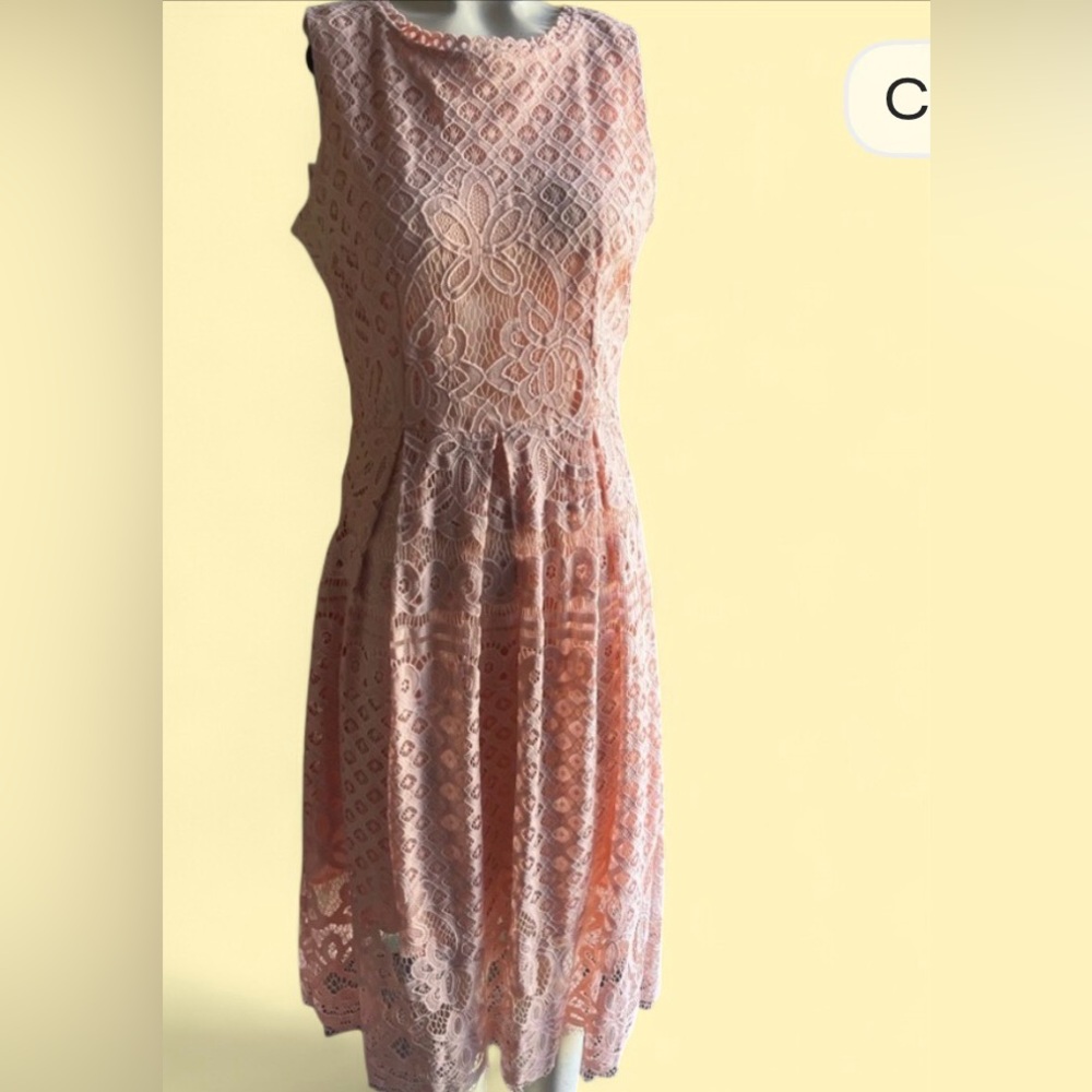 Elegant Pink Lace Dress